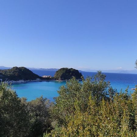 Margarita Apartments Paxos - Studio Kam Lákka Buitenkant foto