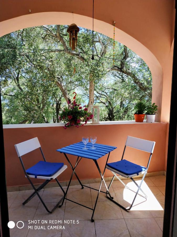 Margarita Apartments Paxos - Studio Kam Lákka Buitenkant foto