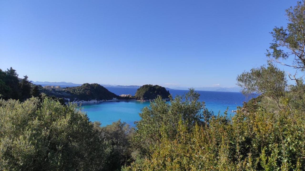 Margarita Apartments Paxos - Studio Kam Lákka Buitenkant foto
